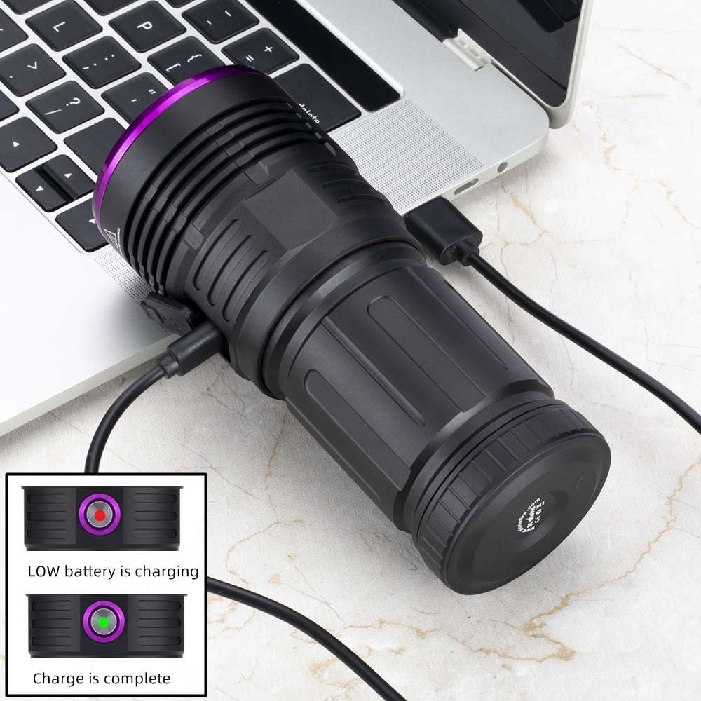 80W 365nm UV Flashlight Ultrav - Photography Lighting For Food ulasan dan harga